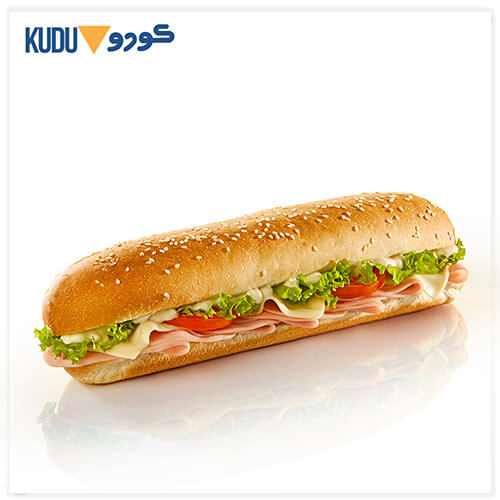 Kudu KSA Website Design, Website Development, Web Maintenance Turkey Sandwich