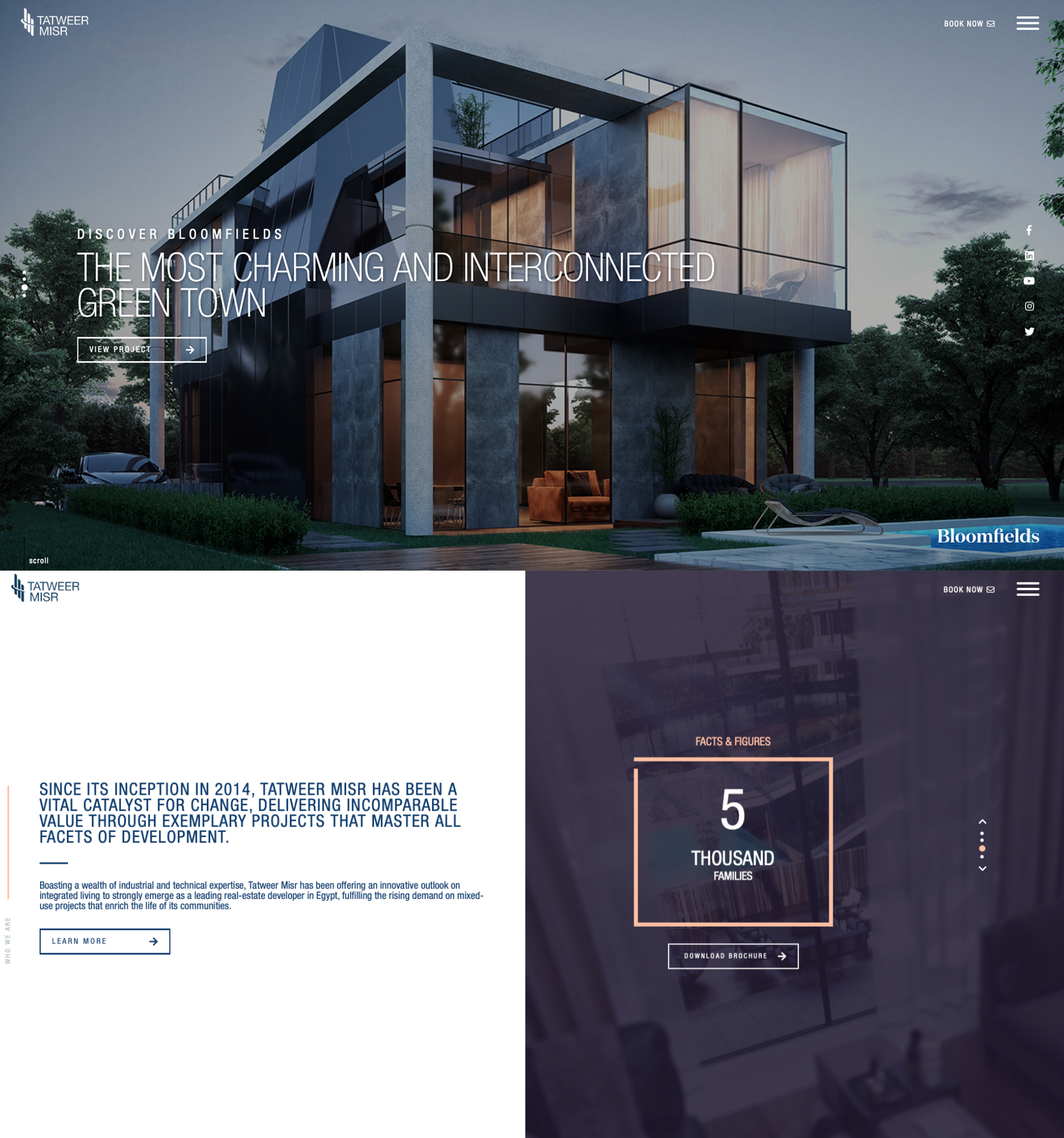 Tatweer Misr Web Design, Website Development Screenshot